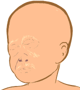 Fetus is 21 weeks old 21 weeks old fetus (baby)