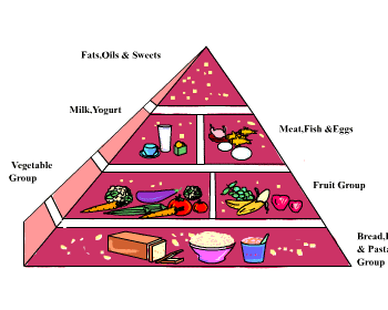 The Food Pyramid [Illustration by Shinod AP]